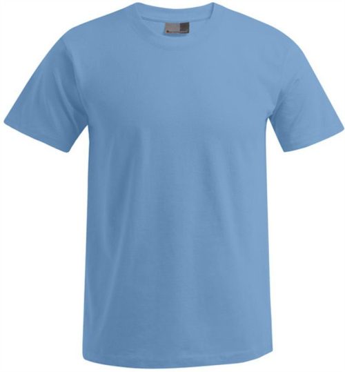 Herren Premium T-Shirt 3099 (XS-6XL) – Promodoro in Alaskan Blue