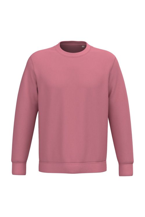 Unisex Round Neck Sweatshirt – Native Spirit in Antique Rose