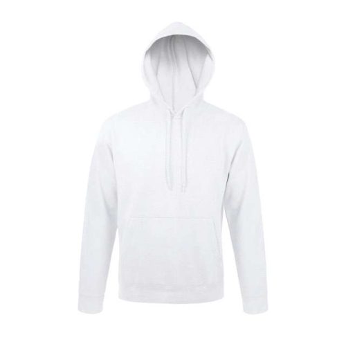 Sol's Snake - Unisex Hooded Sweatshirt – SOL'S in Ash