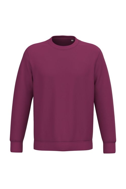 Unisex Round Neck Sweatshirt – Native Spirit in Dark Cherry