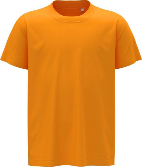 Kinder T-Shirt Classic-T Kids – Stedman in Gold
