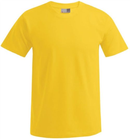 Herren Premium T-Shirt 3099 (XS-6XL) – Promodoro in Gold