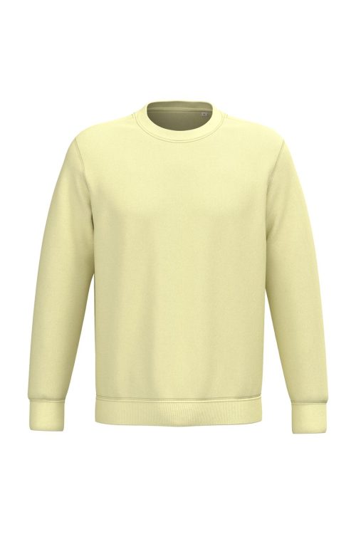 Unisex Round Neck Sweatshirt – Native Spirit in Lemon Citrus