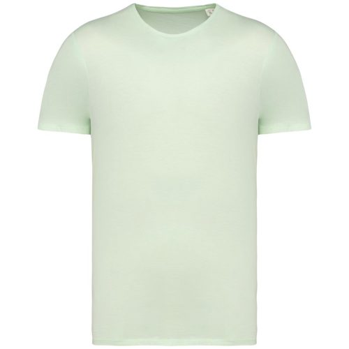 ausgewaschenes Unisex-T-Shirt NS337 – Native Spirit in Washed Green Apple